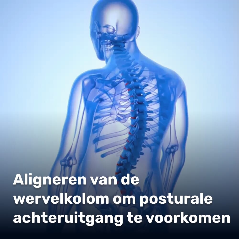 WellaBack image