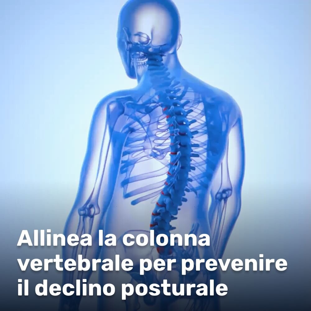 WellaBack image