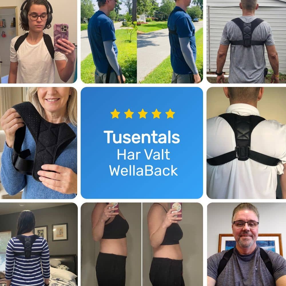 WellaBack image
